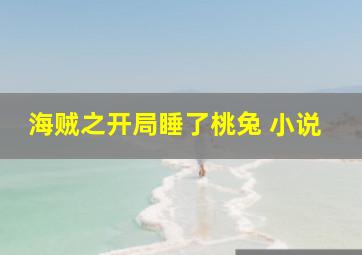 海贼之开局睡了桃兔 小说